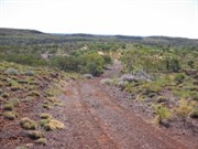 The Puntawarri Track