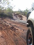 The Puntawarri Track - Washaways