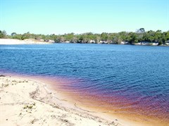 Norfolk Creek 