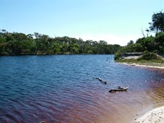 Norfolk Creek 