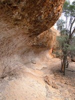 Wave Rock 