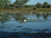 Waterhole near the Cumberland Mine Chimney