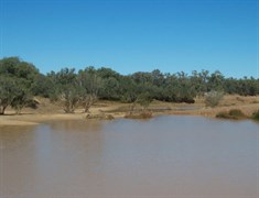 Cooper Creek