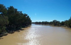 Cooper Creek
