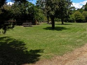 Main camping area
