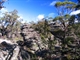 Weathered sandstone rock formations