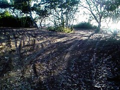 Carmila Beach Rest Area - Camp Spot 