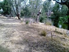 Terramungamine Reserve