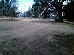 Terramungamine Reserve