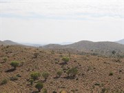 View North from Sladies Lookout