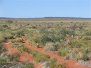 Approaching Mungkullo Hills