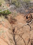 Telltale signs of damp earth