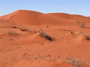Looking around at the desert landscape