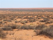 North of Thomas No 1 Oil Well