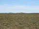 Mallee%2bscrub%2beverywhere