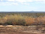 Two peaks in the horizon