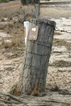 Holland Track Route Marker at Junction Langaweira & Tabenup Rd