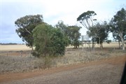 South Coyrecup Rd & Katanning Nyabing Rd