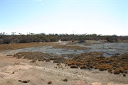 Scene at site