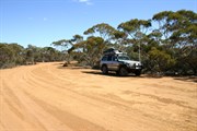 Rest Area behind trees at junction
