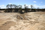 View of Sandplain Rock at entrance track