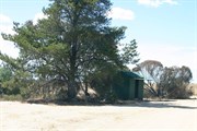 Green Shed