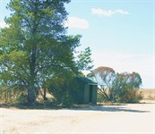 Green Shed