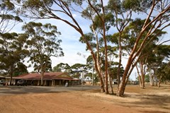 Hyden