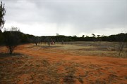 Sandalwood Rocks