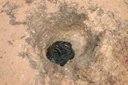 Pigeon Hole