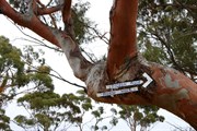 Sign leads the way to Pigeon Hole