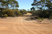 View at head of track
