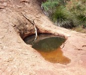 Walganna Rock - rock pool