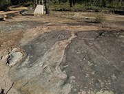 Rock Carving at Finchley