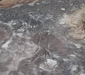 Burragurra Rock Carving