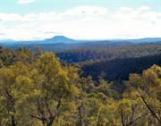 Mt Yengo from Burragurra