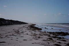 Eyre Bird Observatory - Beach at  