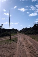 Eyre Bird Observatory - One of Many Tracks between EBO and Madura 
