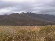 Moving on through Mount Heemskirk Regional Reserve 