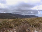 Moving on through Mount Heemskirk Regional Reserve 