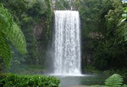 Millaa Millaa Falls