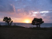 A balmy breezy sunrise.