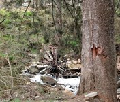 Energy generation - Retreat Fire Trail