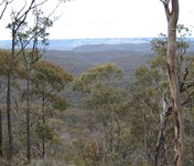 Black Hill Fire Trail Panorama