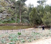 The Beach Camp Area - Abercrombie River NP