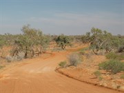 Road in sandhills 10 mins N of Pedirka