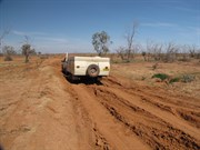 Road in dry bog 10 mins S of Pedirka