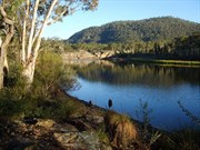Dunns Swamp