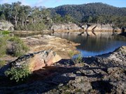 Dunns Swamp