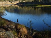Dunns Swamp